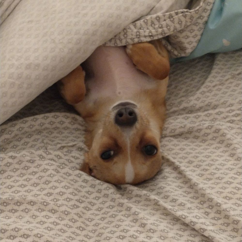 Meet your Posher, Colleen